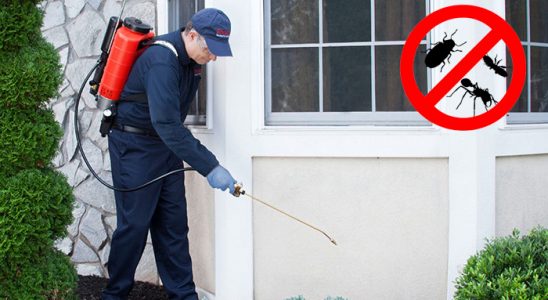Araklı Akrep İlaçlama böcek ilaçlama ve haşere kontrolü — ilaclama-tr.com